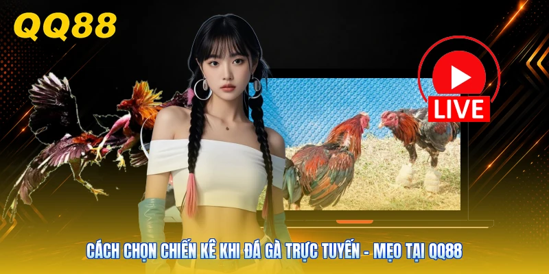 Cách chọn chiến kê khi đá gà trực tuyến