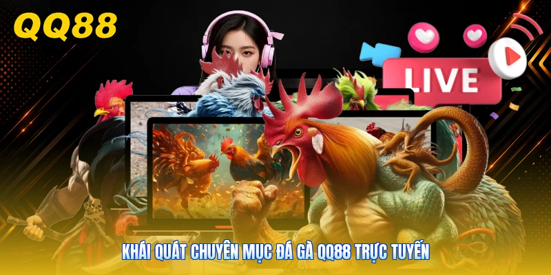 Khái quát chuyên mục đá gà QQ88 trực tuyến