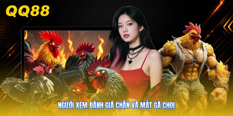 Người xem đánh giá chân và mắt gà chọi