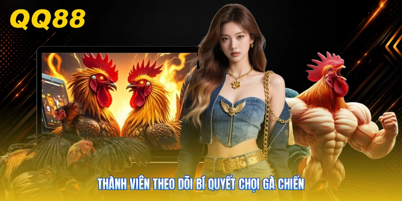 Thành viên theo dõi bí quyết chọi gà chiến