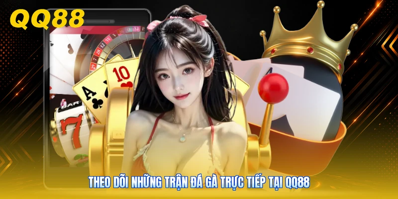 Theo dõi những trận đá gà trực tiếp tại QQ88